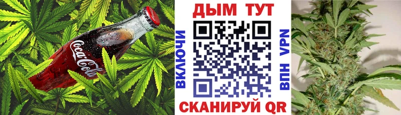 Купить где  Задонск  Cannafood конопля 