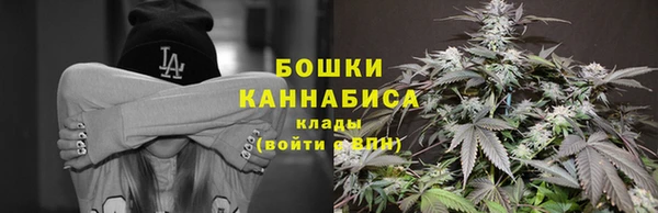 прущие грибы Зеленокумск