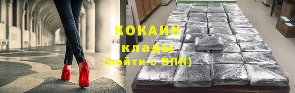 прущие грибы Зеленокумск