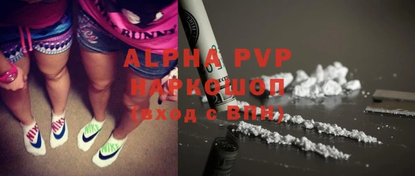 прущие грибы Зеленокумск