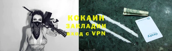 прущие грибы Зеленокумск