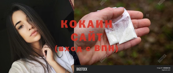 прущие грибы Зеленокумск