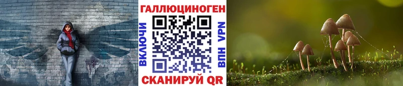 Псилоцибиновые грибы GOLDEN TEACHER  Купить где  Задонск 