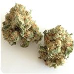 Шишки "White Widow"  (Белая вдова)  Гидропоника -  Бошка VHQ в Задонске